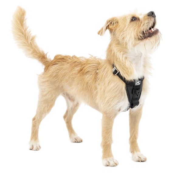 Kurgo Enhanced Strength Tru-Fit Smart Dog Harness, Black, X-Small - Crash Tested Car Safety Harness for Dogs, No Pull Dog Harness, Includes Pet Safety Seat Belt Tether