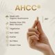 thumbnail image 4 of Suplemento HPD Rx Premium AHCC y hongo shiitake 1100 mg, 4 of 7