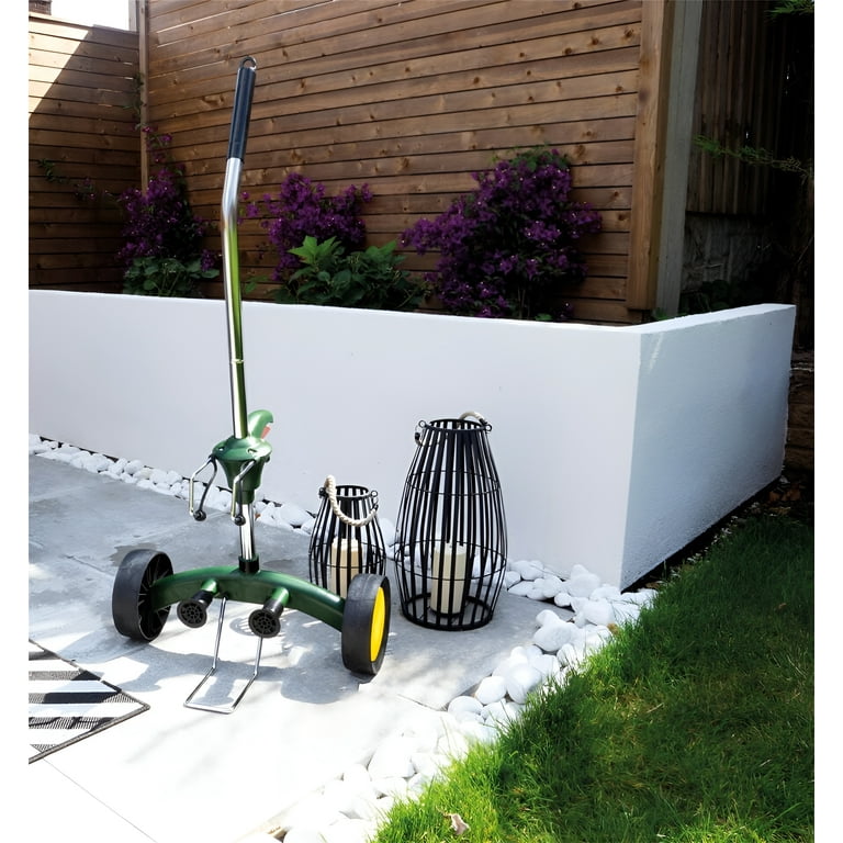 planting a cactus in a pot Cactus and Succulent Arrangement in a Ceramic Bowl  Urbane Eight Inc