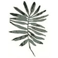 thumbnail image 2 of Vess, June Erica 15x18 White Modern Wood Framed Museum Art Print Titled - Foliage Fossil VII, 2 of 4