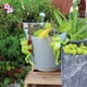 thumbnail image 4 of Conjunto de estatuas de rana de jardín Adorno de resina exterior | Expresiones Juguetonas y Sonrientes | Paraguas verde, marrón y amarillo | Escultura decorativa duradera para césped, patio, jardín, 4 of 7