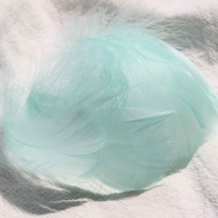 100 Pcs Tiny Pastel Colors Goose Feather 5-8CM Assorted Fluffy Feathers for Crafts Dream Catcher Wedding Home Party Decorations Earrings Making