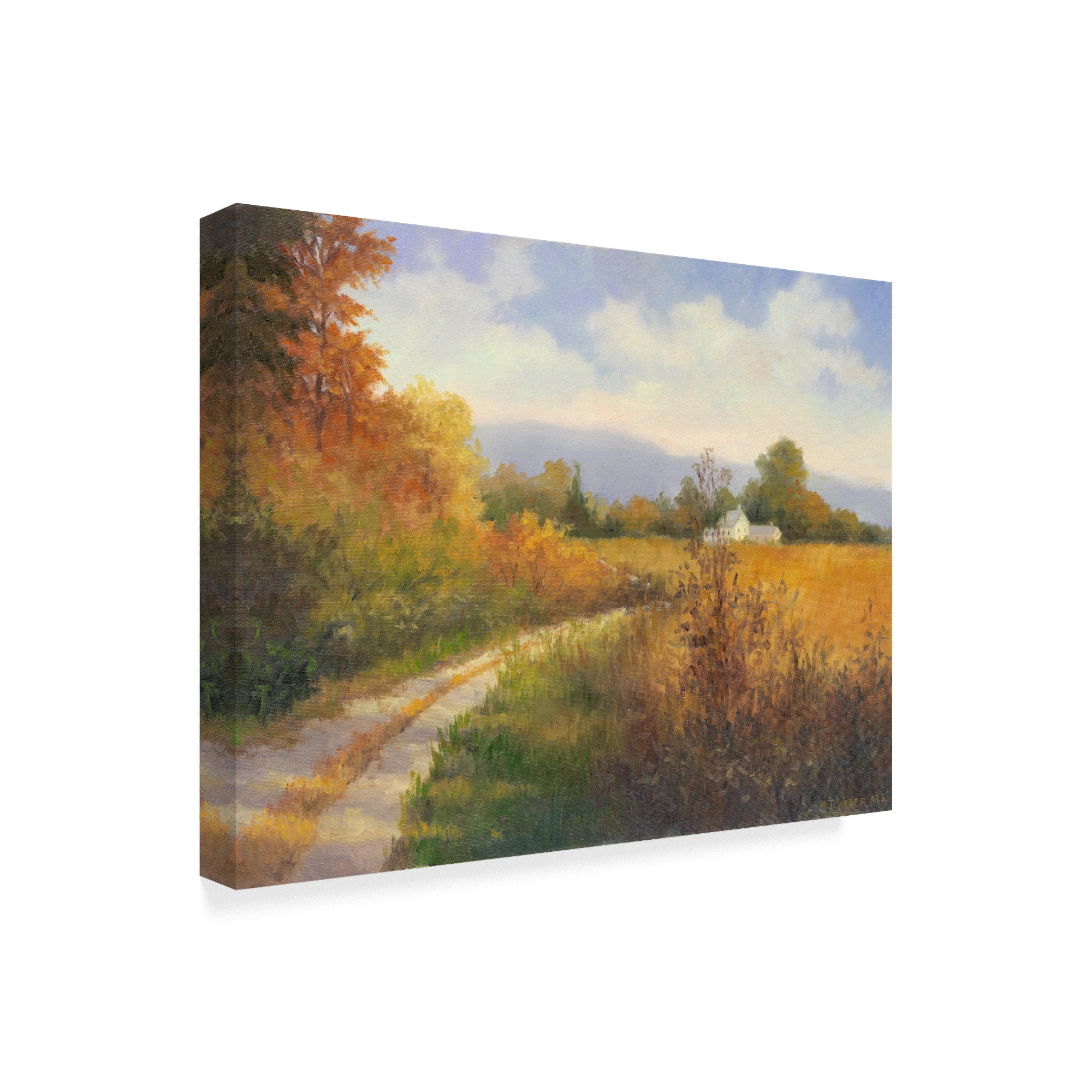 Trademark Fine Art 'Autumn Country Road' Canvas Art by Mary Jean Weber
