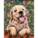 thumbnail image 1 of Taladro Diamante Pintura 1 (DE2655) 5D DIY Punto de Cruz Bordado Mosaico (Perro) 50x70cm FLhrweasw Nuevo, 1 of 1