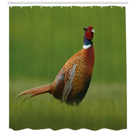 Bird Shower Curtain Common Pheasant With Long Tail On The Green