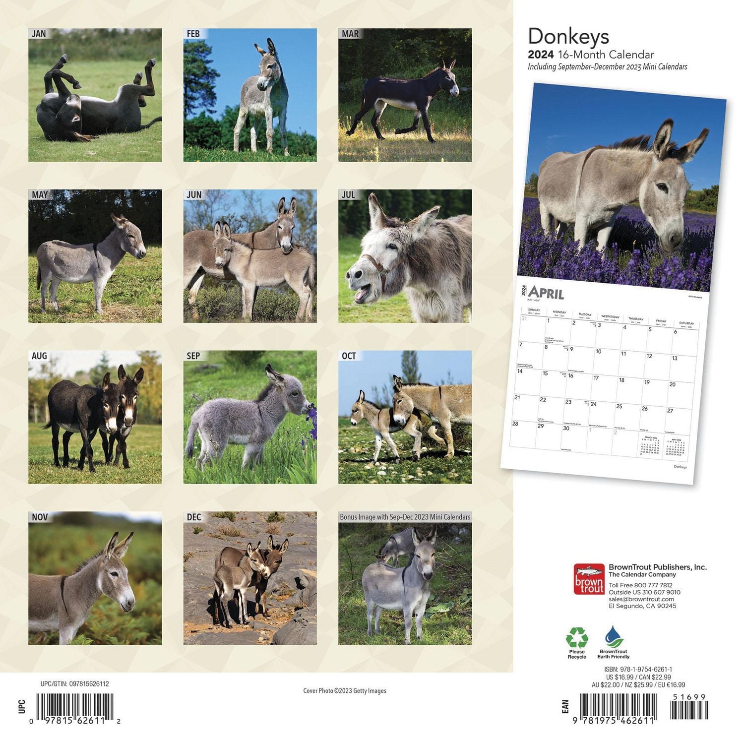 BrownTrout Donkeys 2024 12x24 Inch Square Wall Calendar, 9781975462611