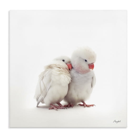 Stupell Industries Cottage White Love Birds Canvas Art, 24 x 24, by Roozbeh