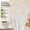 Clear, variant on Disposable Plastic Coffee Stirrer Sticks - 5 Inch Espresso Brown Sip Stir Sticks, Pack of 1000, Disposable Drink Mixers