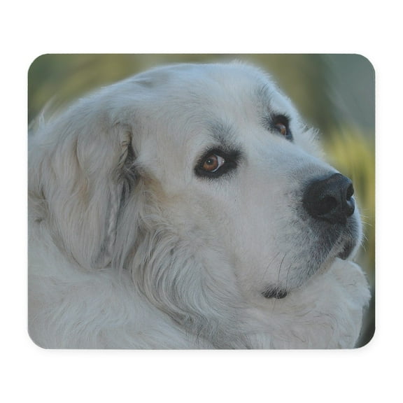 CafePress - Mousepad - Non-slip Rubber Mousepad, Gaming Mouse Pad