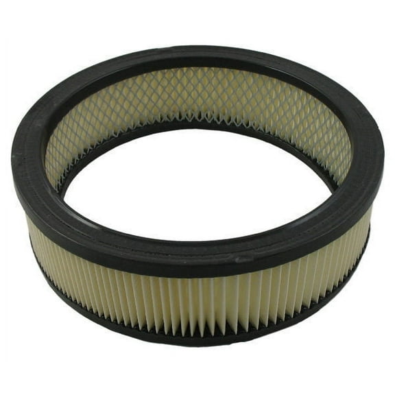 Pentius PAB3588 Pentius Filter Fits select: 1986-1995 CHEVROLET S TRUCK, 1986-1989 NISSAN D21