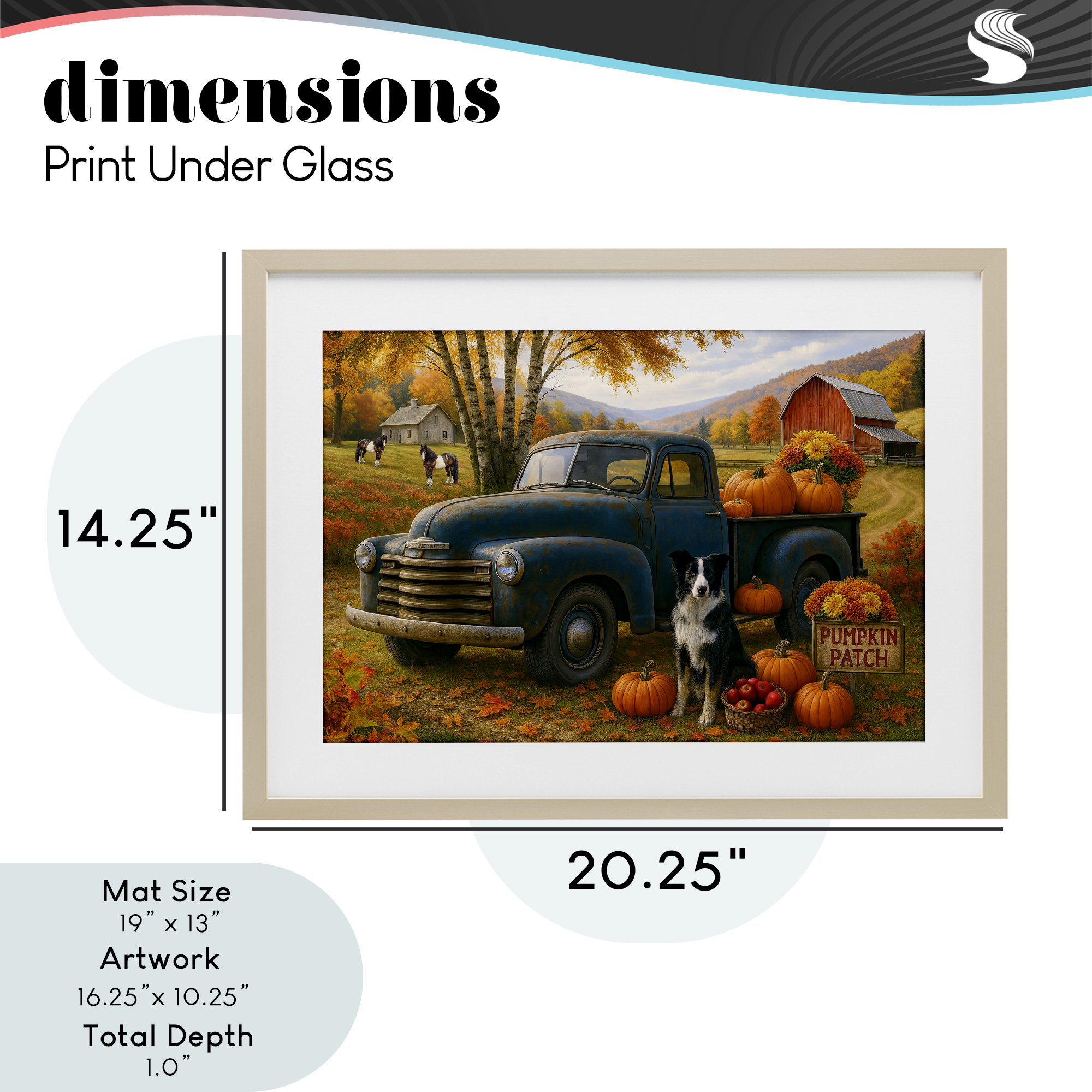 Autumnal Farmland Collie Dog Birch Framed Print Under Glass, design by Tom Crehan