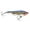 Opening Night, variant on B&L Paul Browns F-11 Fat Boy Black 4" 3/4oz Topwater Fishing Freshwater Lure