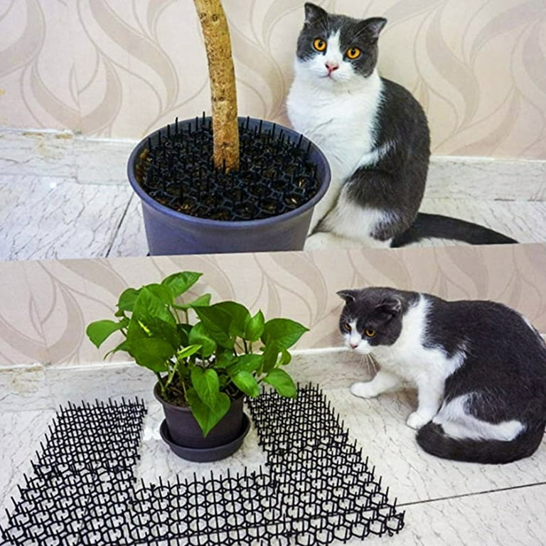 Cat scat mat sales walmart
