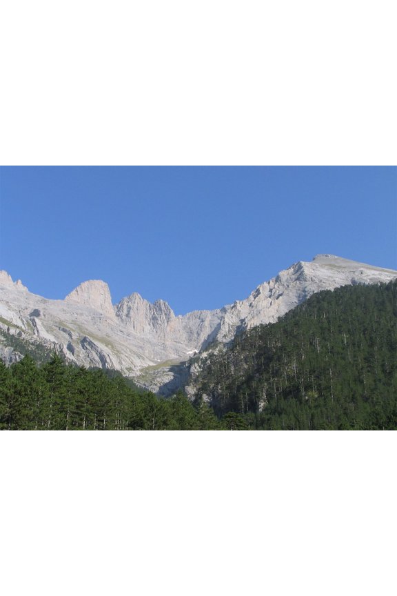 24x36 gallery poster, Mount Olympus
