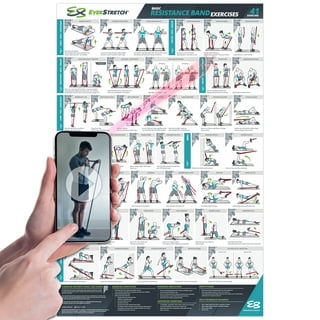 16-PACK Laminated Large Workout Poster Set - Perfect Workout Posters for Home  Gym - Exercise Charts Incl.