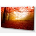 thumbnail image 2 of Yellow Sun Rays in Red Forest, 2 of 3