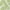Aloe, variant on Addison Rugs Chantille Indoor/Outdoor Transitional Organic Black Washable Rectangle Rug, 3' x 5'