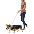 thumbnail image 4 of Nite Ize Raddog All-in-One Collar + Leash Combo, Dog Collar with Built-in Retractable Leash, Blue, Small 14"-16", 4 of 7