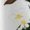 A468-2674, variant on Lemons Leaves Flowers White Background Casual Sleeveless Loose Sundress Dress For Women Summer Dress Daily Woman