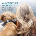 thumbnail image 4 of Black Rhino Dog Collar for Large Dogs - Adjustable Reflective Heavy Duty Collar with Ultra-Soft Neoprene Padding - Weatherproof, Durable, and Comfortable - Ideal for Active Dogs - Aqua and Gray, 4 of 7