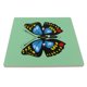 thumbnail image 4 of Bloque de Rompecabezas de Rompecabezas Niño Niño Juguete Educativo Montessori, 4 of 7