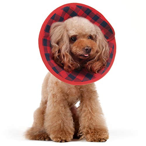 Marcos Recovery Collar for Dogs and Cats Alfie Pet Size: Small - Color: Red Polka 
