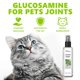 thumbnail image 2 of Alegría para gatos a base de hierbas, spray para gatos a base de hierbas, Alegría para gatos a base de hierbas Celery Pets, spray Kitty Joy, spray de hierba gatera para gatos, 2 of 3