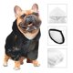 thumbnail image 3 of Balery Black And Gold White Horse Sudadera con Capucha para Perros Pequeños – Ropa para Mascotas, Disfraz para Perros y Gatos, Ideal para Fiestas y Cosplay-Large, 3 of 7