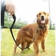 thumbnail image 3 of Cuello de entrenamiento para perros con manga larga acolchada de piel para perros pequeños y grandes, color negro, 1,8 x 2,0 cm, 3 of 5