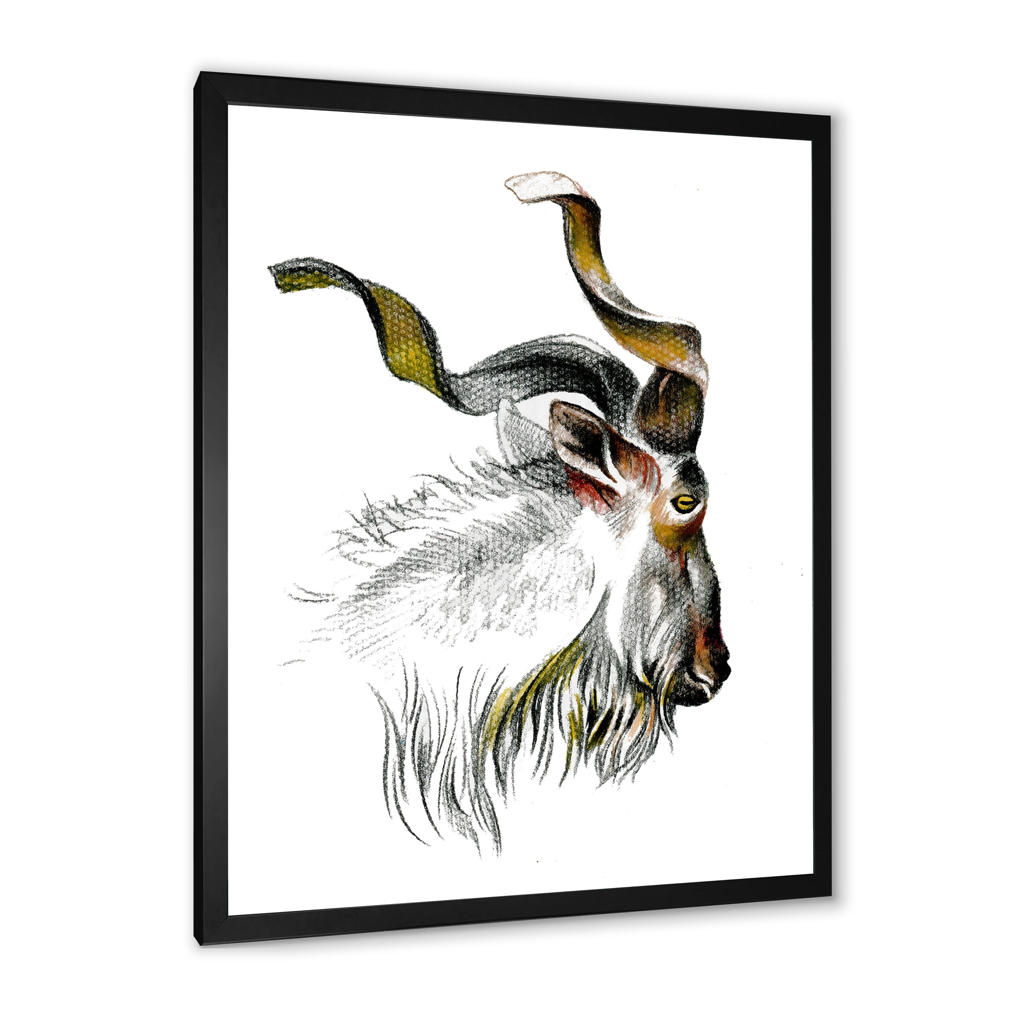 Designart 'Black and White Portrait Of Goat II' Farmhouse Framed Art Print