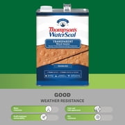 Thompson's WaterSeal Transparent Exterior Wood Sealer, Chestnut Brown, 1 gal