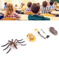 thumbnail image 1 of VGEBY Insect Life Cycle Figurines Growth Model Toy Kid Cognitive Educational Toys, 1 of 8