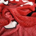 thumbnail image 3 of NBA Chicago Bulls Throw Blanket 50" x 60", 3 of 6