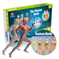 thumbnail image 2 of Human Torso Body Model Anatomy Anatomical Medical Internal Organs for Teaching Detachable Educational Medical Science Model New, 2 of 5