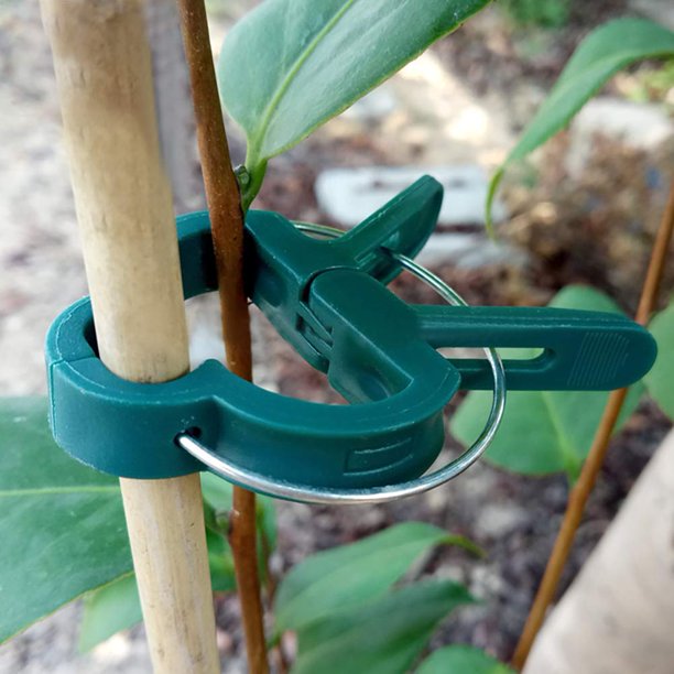 Stake Clip Plant Clip - Dark Green (10 Pack) - Walmart.com - Walmart.com Stake Clip Plant Clip - Dark Green (10 Pack) - Walmart.com - Walmart.com