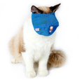 thumbnail image 1 of Muzzle pour Chat Interactif Créatif Maille Respirante Masque pour Visage de Chat, 1 of 10
