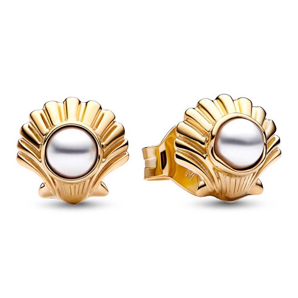 Pendientes Atemporales De Caramelo Con Incrustaciones De Cierre Joyería Regalo Para Mujer + Bolsa De Franela
