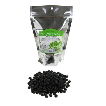 Organic Black Soy Beans -1 Lb - Black Soybeans - Non-GMO - For Cooking, Making Tofu & Soymilk / Soya (Best Soy Milk For Latte)