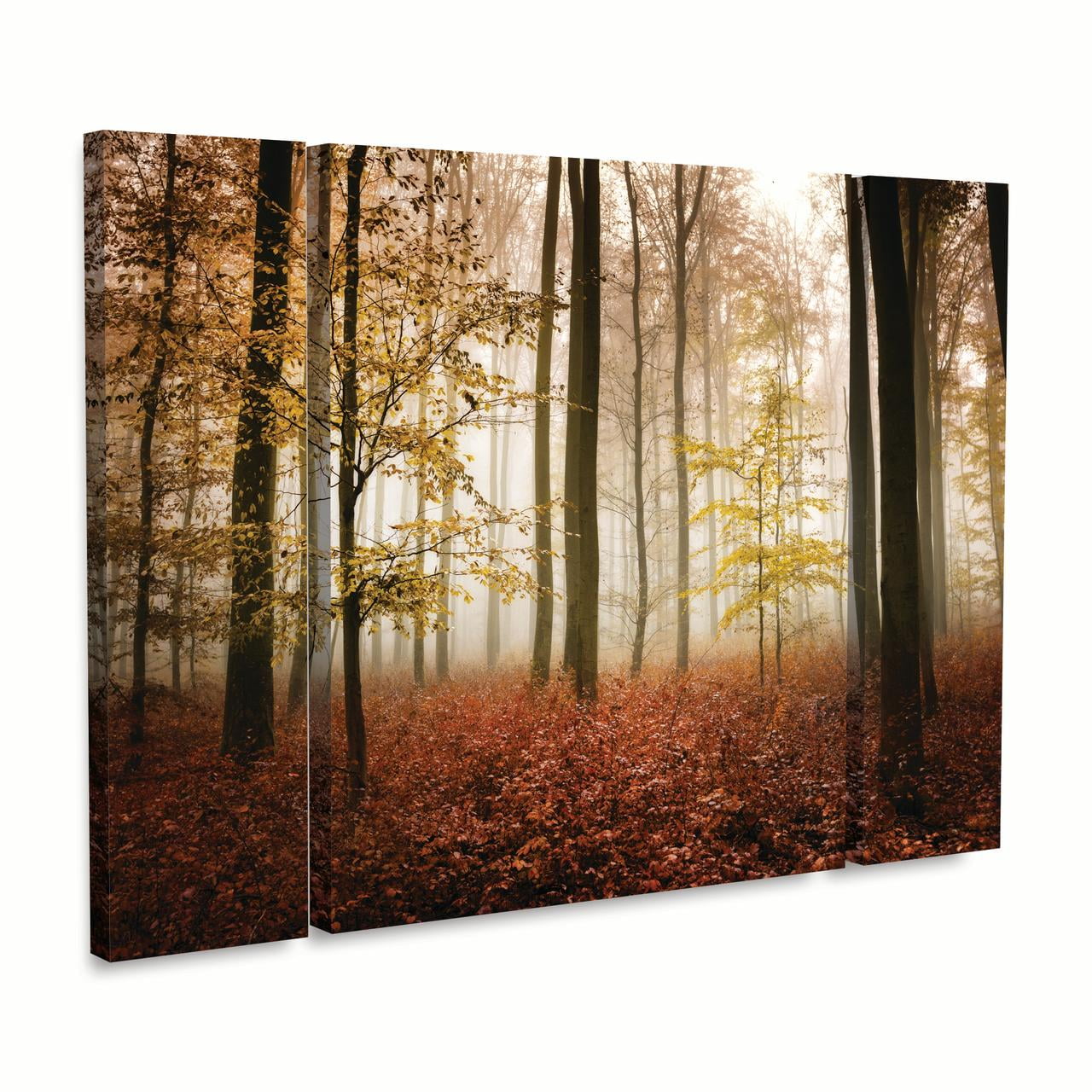 Trademark Fine Art 'Calmness' Canvas Art by Philippe Sainte-Laudy