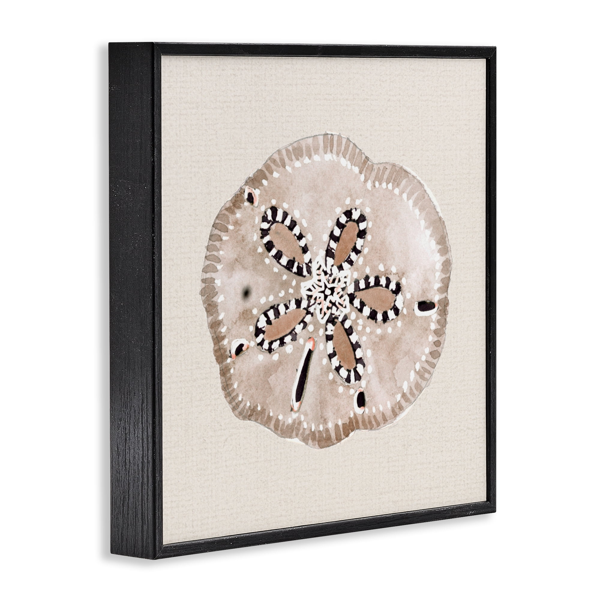 Stupell Industries Taupe & Beige Sand Dollar Black Framed Giclee Art, design by Lanie Loreth