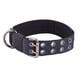 thumbnail image 1 of Collar táctico ancho para perros grandes con asa para perros de razas extragrandes, collar grueso de nailon para cachorros., 1 of 5