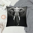 thumbnail image 2 of Fenyluxe Elephant Tusks Black and White Pillow Covers with Square Design for Couch, Sofa, Indoor Outdoor, 1PC 22x22in, 2 of 5