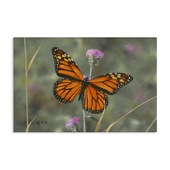 Stupell Industries Summer Visitor Butterfly Animals Photography Wrapped Canvas Art Print Wall Art, 24 x 16
