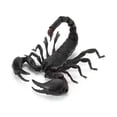 thumbnail image 1 of Insects Gashapon Big Picture Book Series Mantis Spider Scorpion Wasp Simulation Insect Action Figure Model Toys, 1 of 5