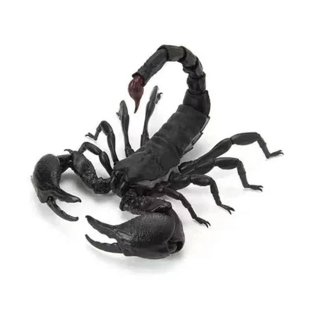 Insects Gashapon Big Picture Book Series Mantis Spider Scorpion Wasp Simulation Insect Action Figure Model Toys