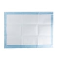 thumbnail image 2 of Tampons d'Entraînement Absorbants, 2 of 4