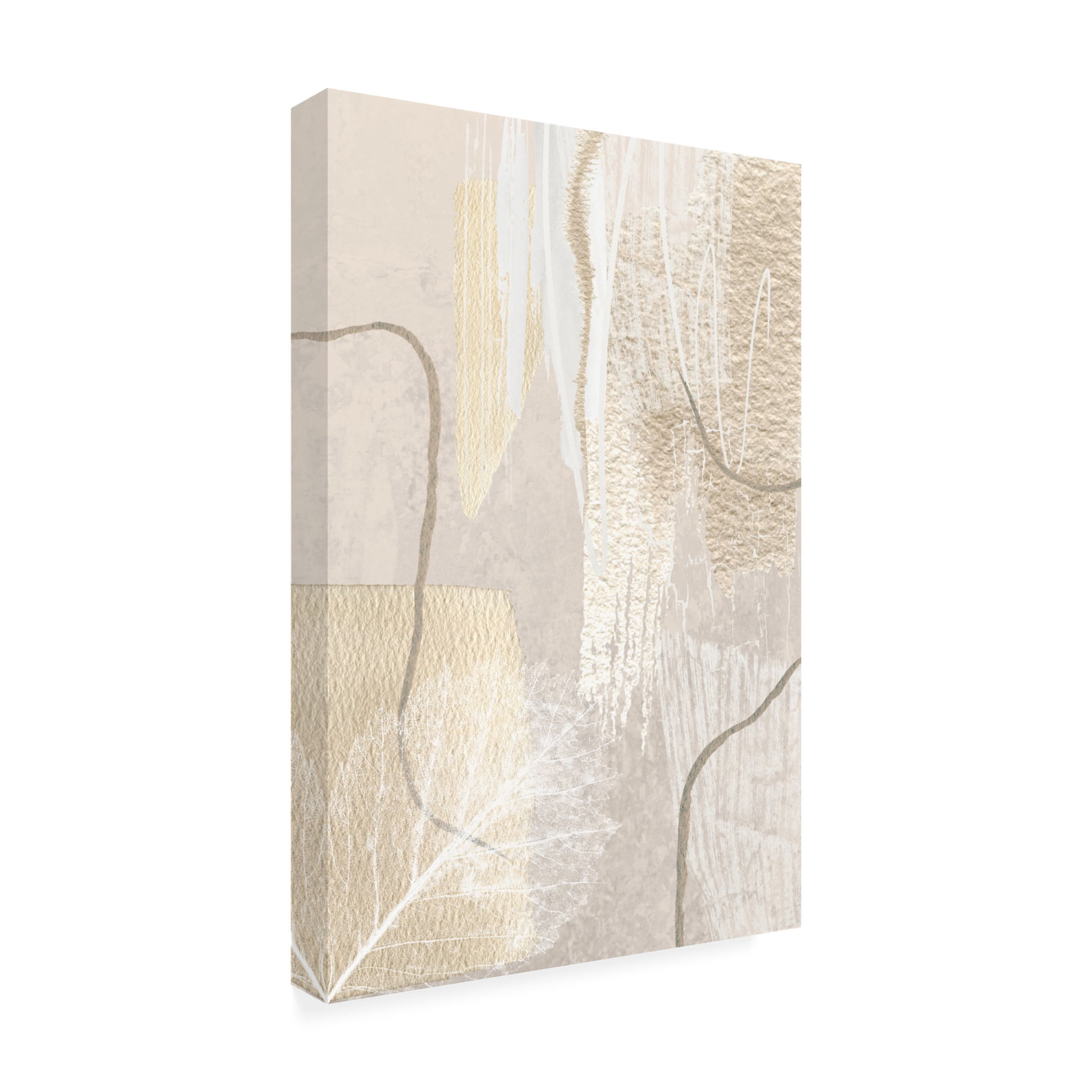 Trademark Fine Art Sally Ann Moss Calm Ivory 1 Canvas Wall Art