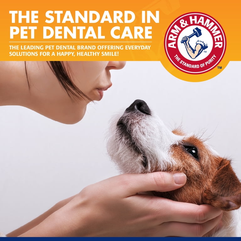 Arm & Hammer Puppy Tartar Control Training Kit, Vanilla Ginger photo 5