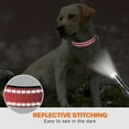 thumbnail image 2 of Taglory Reflective Dog Collar with Locking Buckle, Adjustable Nylon Collar for Extra Large Dogs, Pink, 2 of 7