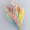 thumbnail image 3 of Toystoory Flores secas portátiles, plantas artificiales ligeras, flores naturales, ramo de hierba seca para sala de estar, boda, hogar Decoración del hogar Blanco Toystoory HA073024-02, 3 of 6